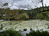 Ryoanji Schrein &ndash; &copy; Martin Gruhle (Eberhardt TRAVEL)