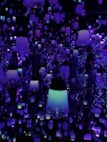 Teamlab Kyoto  &ndash; &copy; Martin Gruhle (Eberhardt TRAVEL)