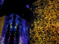 Teamlab Kyoto 