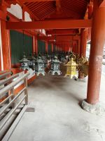 Kasugataisha Schrein &ndash; &copy; Martin Gruhle (Eberhardt TRAVEL)
