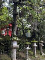 Nara Park &ndash; &copy; Martin Gruhle (Eberhardt TRAVEL)