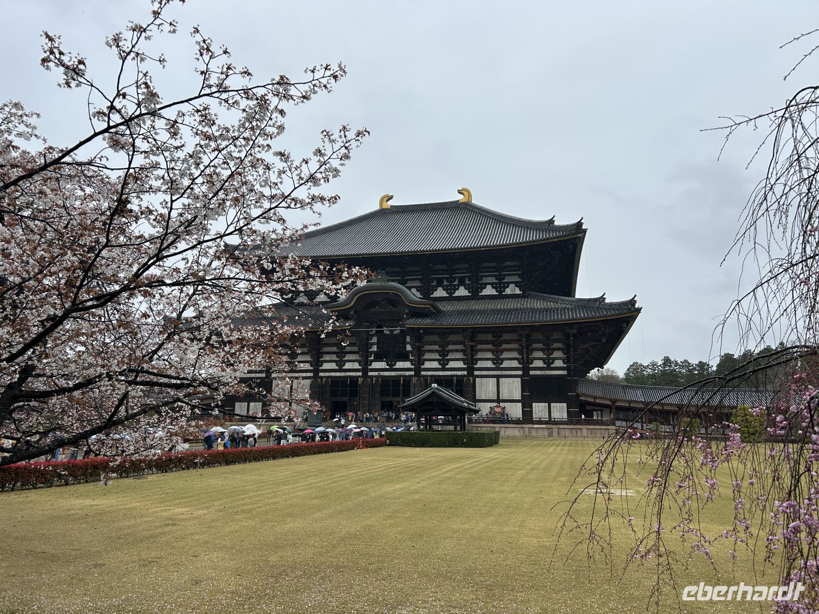 Toji-Tempel Nara &ndash; &copy; Mary Dobberkau (Eberhardt TRAVEL)