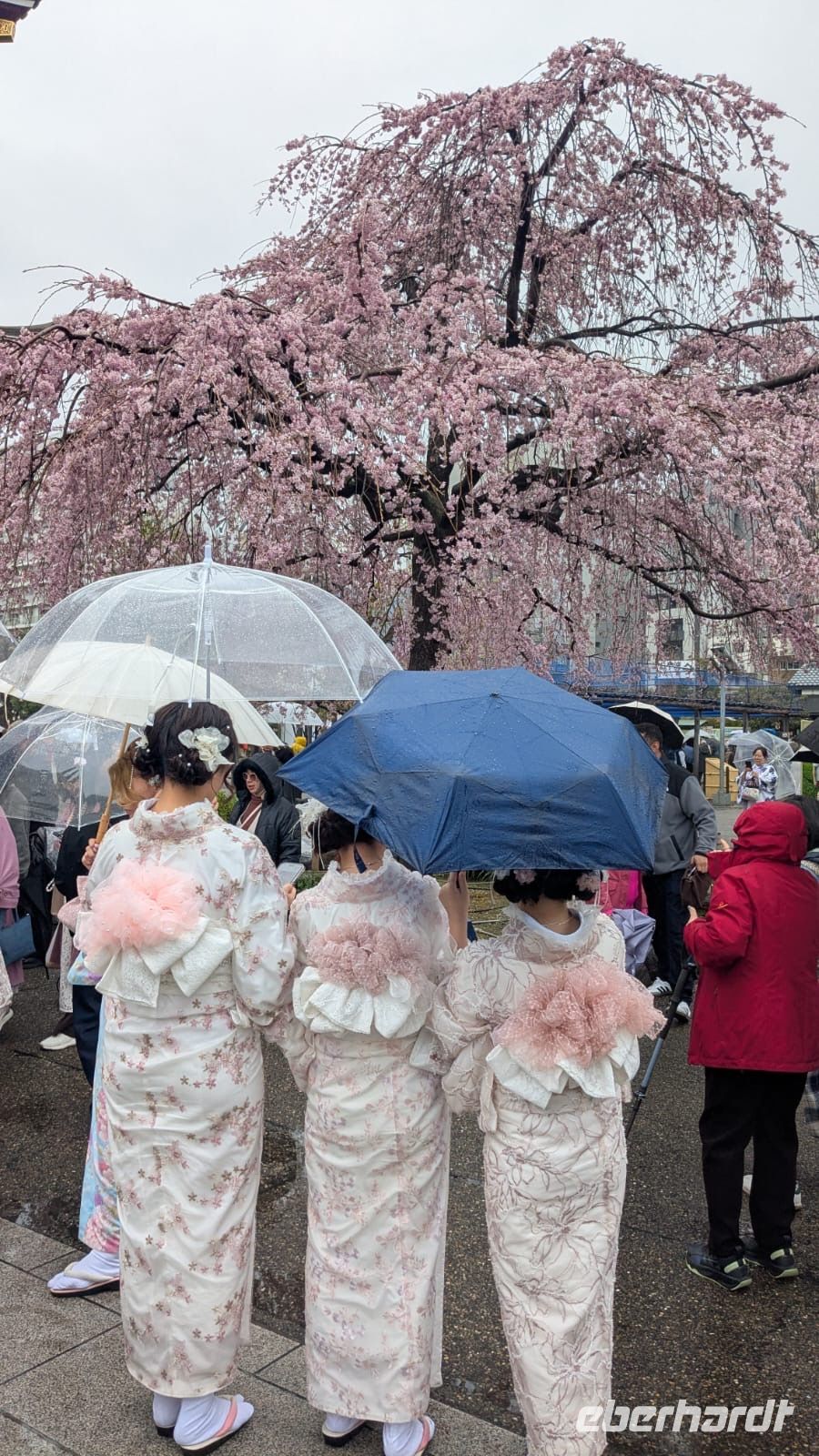 Damen in Kimonos in Tokio &ndash; &copy; Mary Dobberkau (Eberhardt TRAVEL)