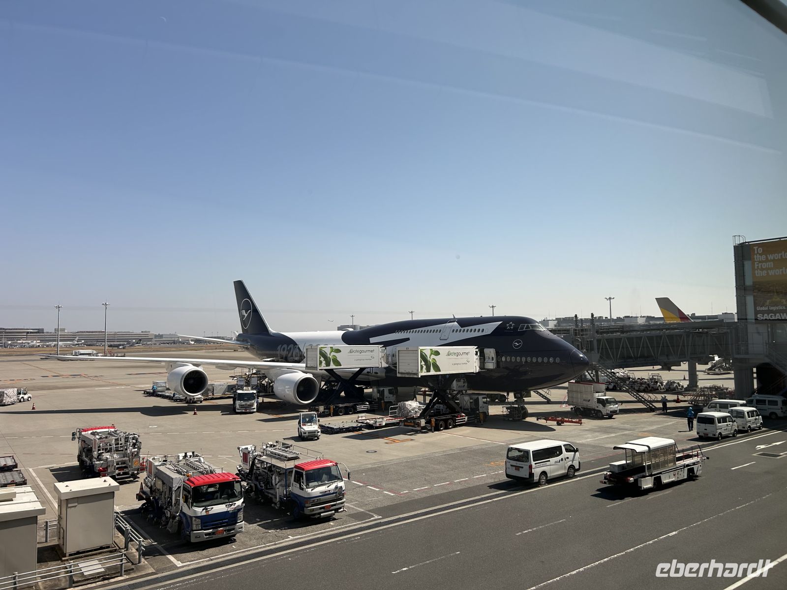 Jubiläumsmachine Boeing 747-8 &ndash; &copy; Mary Dobberkau (Eberhardt TRAVEL)