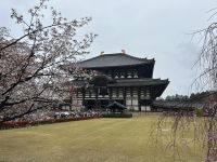 Toji-Tempel Nara &ndash; &copy; Mary Dobberkau (Eberhardt TRAVEL)