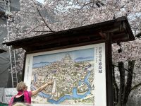 Himeji - Burg des weißen Reihers &ndash; &copy; Sabine Letzybyll (Eberhardt TRAVEL)