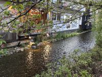 Kyoto - Reiher &ndash; &copy; Sabine Letzybyll (Eberhardt TRAVEL)