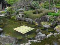 Hasedera
