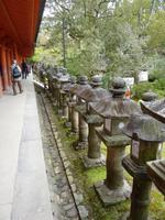 Nara - Kasuga-Schrein &ndash; &copy; Jens Petzoldt (Eberhardt TRAVEL)