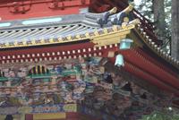 Nikko &ndash; &copy; Ngoc Anh Nguyen (Eberhardt TRAVEL)