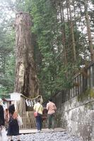 Nikko &ndash; &copy; Ngoc Anh Nguyen (Eberhardt TRAVEL)
