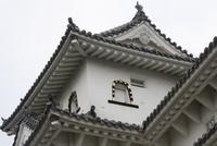 Himeji &ndash; &copy; Ngoc Anh Nguyen (Eberhardt TRAVEL)