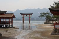 Miyajima &ndash; &copy; Ngoc Anh Nguyen (Eberhardt TRAVEL)
