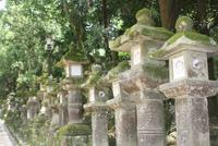 Nara &ndash; &copy; Ngoc Anh Nguyen (Eberhardt TRAVEL)