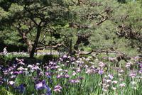 Heian-Schrein &ndash; &copy; Ngoc Anh Nguyen (Eberhardt TRAVEL)