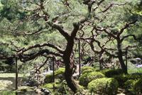  Heian-Schrein &ndash; &copy; Ngoc Anh Nguyen (Eberhardt TRAVEL)
