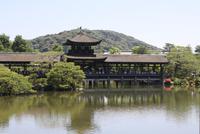  Heian-Schrein &ndash; &copy; Ngoc Anh Nguyen (Eberhardt TRAVEL)