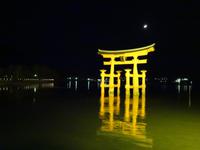 Insel Miyajima - Torii am Itsukushima-Schrein