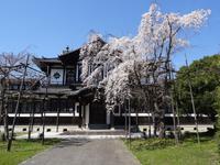 Nara &ndash; &copy; Ralf Mehnert (Eberhardt TRAVEL)