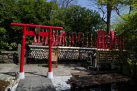 Besuch des Kamakura Hase Tempel &ndash; &copy; Stefanie Knisse (Eberhardt TRAVEL)