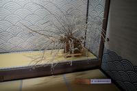 Besuch des ehemaligen Regierungsgebäudes Jin'ya in Takayama &ndash; &copy; Stefanie Knisse (Eberhardt TRAVEL)