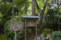 Besichtigung des Tempels Ryona-ji mit dem berühmten Zen-Garten &ndash; &copy; Stefanie Knisse (Eberhardt TRAVEL)