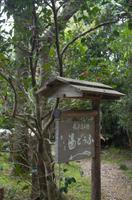 Besichtigung des Tempels Ryona-ji mit dem berühmten Zen-Garten &ndash; &copy; Stefanie Knisse (Eberhardt TRAVEL)