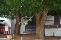 Shintoismus &ndash; &copy; Chris Hähnel (Eberhardt TRAVEL)