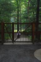 Meiji-Park &ndash; &copy; Chris Hähnel (Eberhardt TRAVEL)