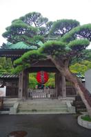 Hasedera - Kamakura &ndash; &copy; Chris Hähnel (Eberhardt TRAVEL)