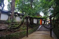 japanische Gärten - Nara &ndash; &copy; Chris Hähnel (Eberhardt TRAVEL)