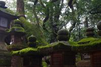 Nara &ndash; &copy; Chris Hähnel (Eberhardt TRAVEL)