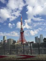 Tokyo Tower &ndash; &copy; Patrick Fritzsche (Eberhardt TRAVEL)