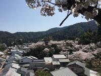 Insel Miyajima &ndash; &copy; Patrick Fritzsche (Eberhardt TRAVEL)