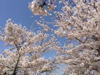 Insel Miyajima &ndash; &copy; Patrick Fritzsche (Eberhardt TRAVEL)