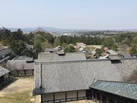 Nara-Park &ndash; &copy; Patrick Fritzsche (Eberhardt TRAVEL)