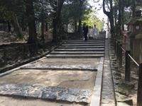 Nara-Park &ndash; &copy; Patrick Fritzsche (Eberhardt TRAVEL)