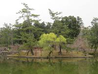 Nara &ndash; &copy; René Wächtler (Eberhardt TRAVEL)