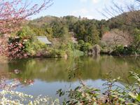 Ryoanji &ndash; &copy; René Wächtler (Eberhardt TRAVEL)