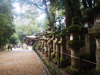 Nara &ndash; &copy; Eva Sieglow (Eberhardt TRAVEL)