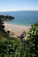 Ausblick auf Sark