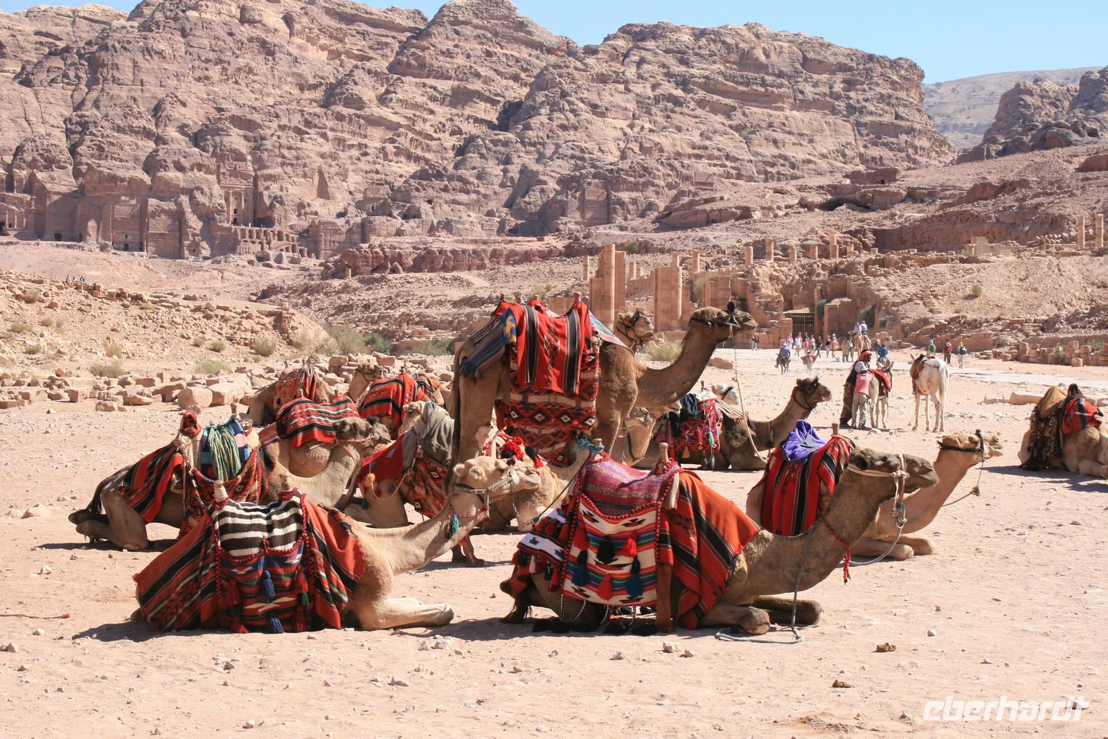 0162 Kamelparkplatz in Petra ;) &ndash; &copy; Patrick Fritzsche (Eberhardt TRAVEL)