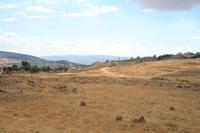 0075 Jerash &ndash; &copy; Patrick Fritzsche (Eberhardt TRAVEL)