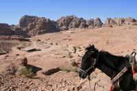 0169 Impressionen aus Petra &ndash; &copy; Patrick Fritzsche (Eberhardt TRAVEL)