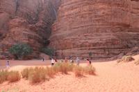 0214 Wadi Rum &ndash; &copy; Patrick Fritzsche (Eberhardt TRAVEL)
