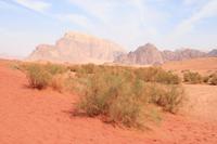 0215 Wadi Rum &ndash; &copy; Patrick Fritzsche (Eberhardt TRAVEL)