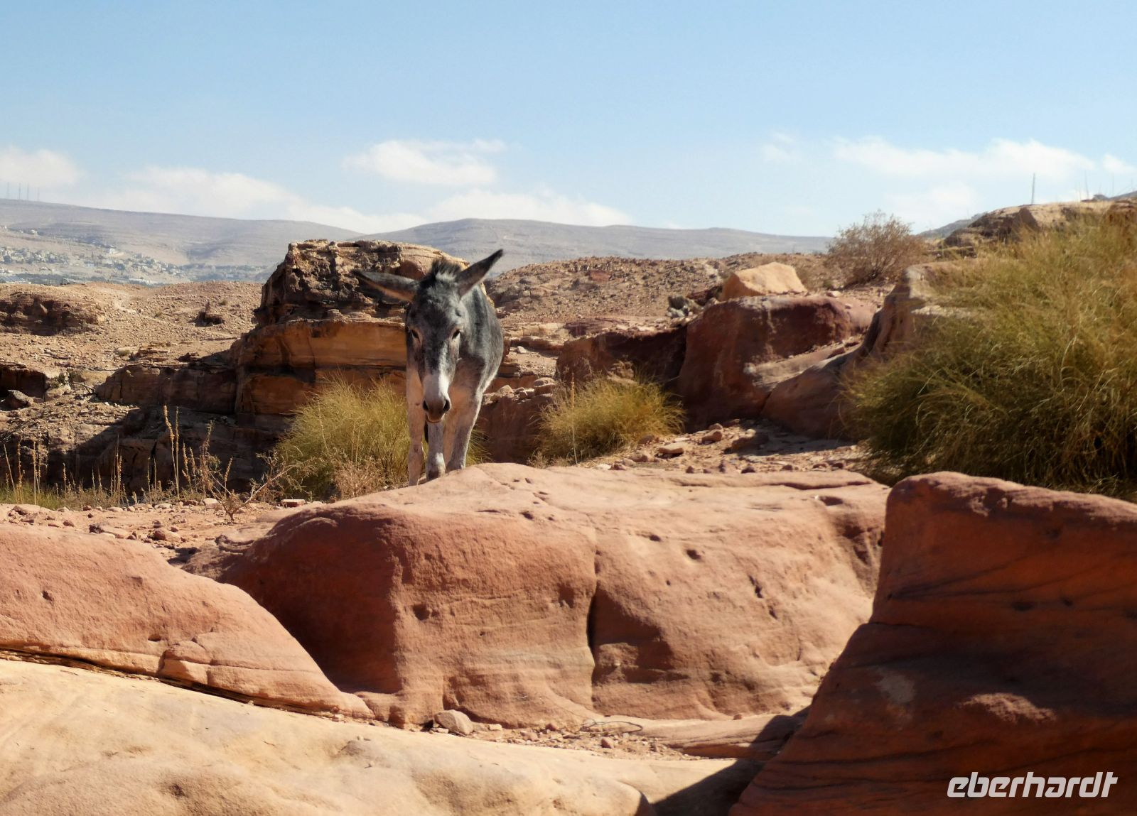 ausgeschlafen &ndash; &copy; Gina Egenolf (Eberhardt TRAVEL)