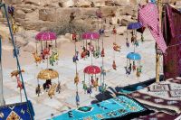 viele Dromedare gefällig? &ndash; &copy; Gina Egenolf (Eberhardt TRAVEL)
