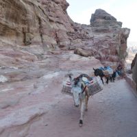 &copy; Annett Müller (Eberhardt TRAVEL)