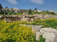 Jerash &ndash; &copy; Katrin Deutschbein (Eberhardt TRAVEL)